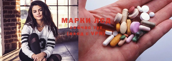 мдпв Бородино