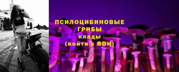 СК Верея