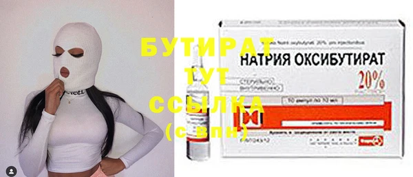 мдпв Бородино
