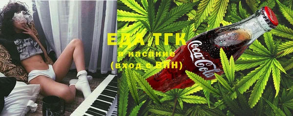 мдпв Бородино