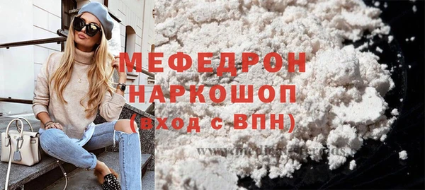 мдпв Бородино