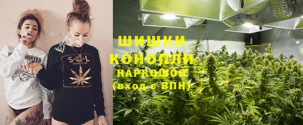 мдпв Бородино