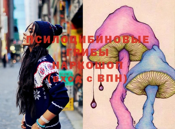 мдпв Бородино