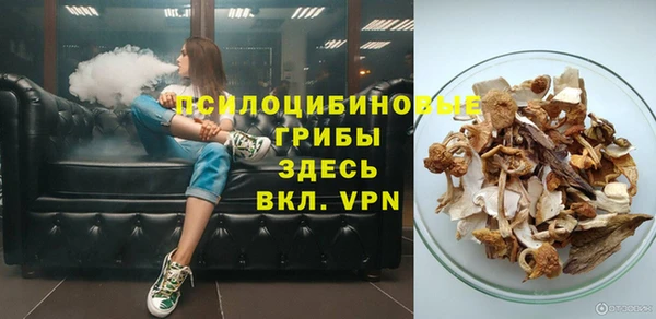 ПСИЛОЦИБИНОВЫЕ ГРИБЫ Бугульма