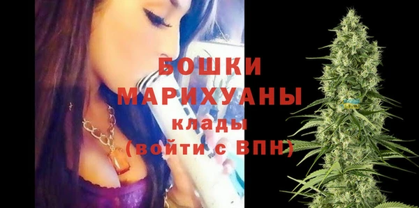 мдпв Бородино