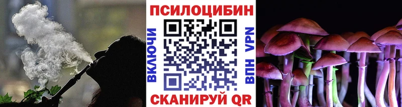 МЕГА рабочий сайт  Гурьевск  Галлюциногенные грибы Cubensis 