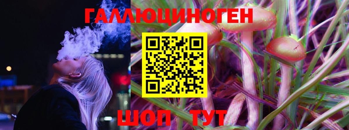 Галлюциногенные грибы прущие грибы  Гурьевск  Псилоцибиновые грибы Magic Shrooms 